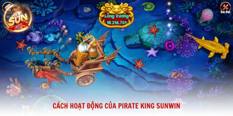 Cách hoạt động của Pirate King Sunwin và những yếu tố người mới cần nắm